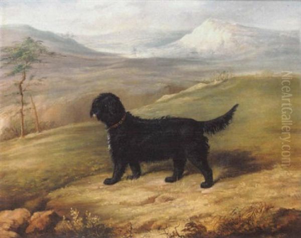 Romp, An Irish Water Spaniel In A Landscape Oil Painting by Thomas W. Bretland