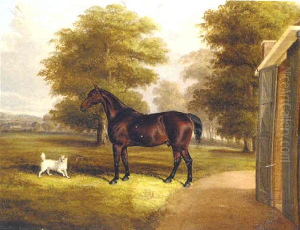 A Bay Hunter And A Terrier By A Stable Oil Painting by Thomas W. Bretland