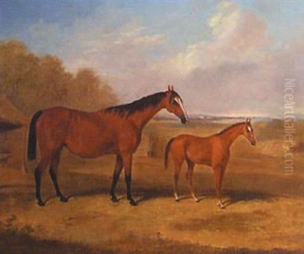 Portrait Of A Mare And Foal In A Landscape Oil Painting by Thomas W. Bretland