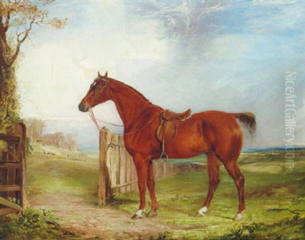 A Saddled Chestnut Hunter In An Extensive Landscape With A Hunt Beyond Oil Painting by Thomas W. Bretland