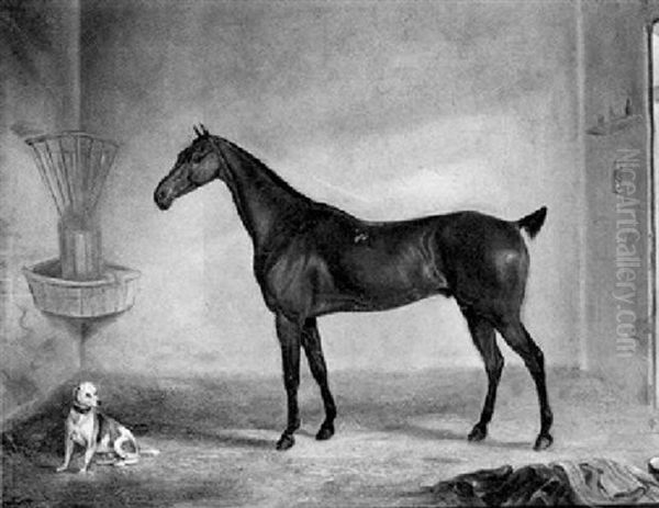 A Bay Racehorse And A Terrier In A Stable Oil Painting by Thomas W. Bretland