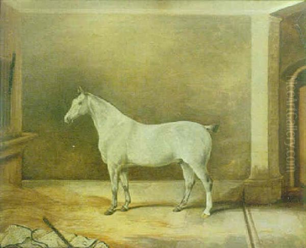 A Grey Gelding In A Stable Oil Painting by Thomas W. Bretland