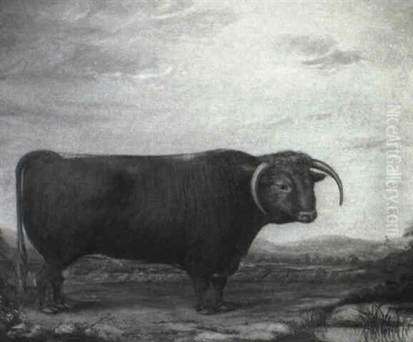 A Brown Prize Bull In A Landscape Oil Painting by Thomas W. Bretland