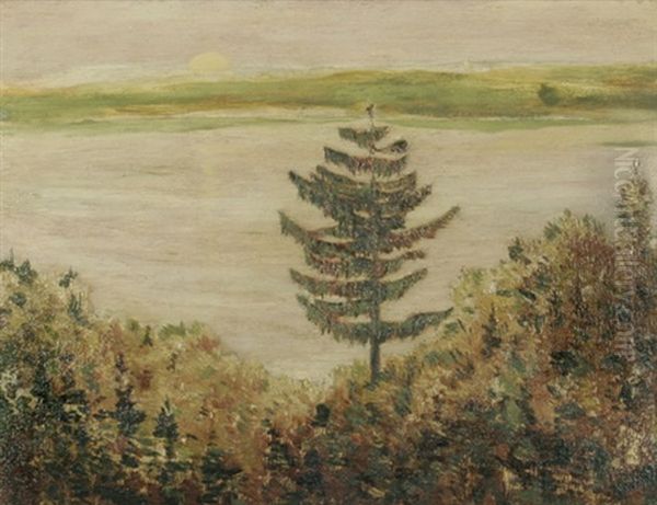 Tanne Am Ufer Des Pilsensees Oil Painting by Julius Bretz