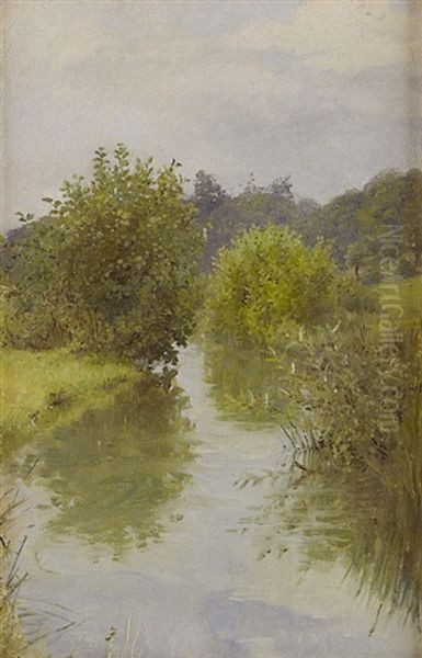 A Stream In Surrey, England Oil Painting by Anna Richards Brewster