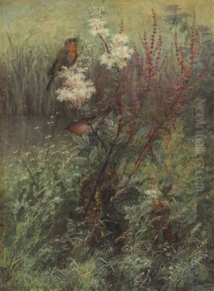 Songbirds In A Woodland Marsh Oil Painting by Fidelia Bridges