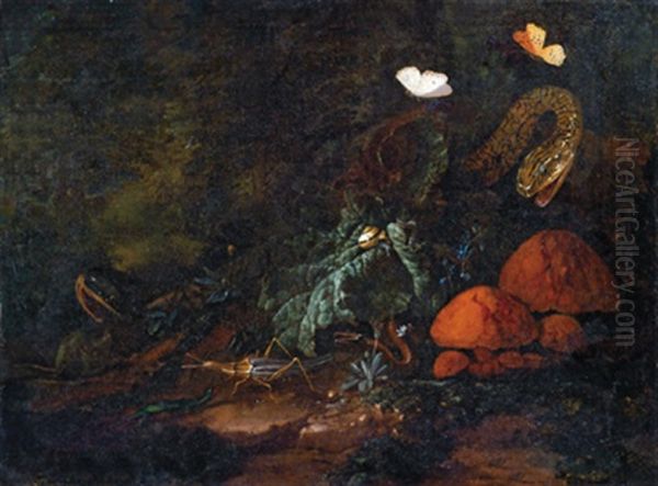 Stillleben Im Waldesgrund Mit Einer Schnecke, Raupe, Schlangen, Schmetterlingen, Einer Heuschrecke Und Pilzen Oil Painting by Elias van den Broeck