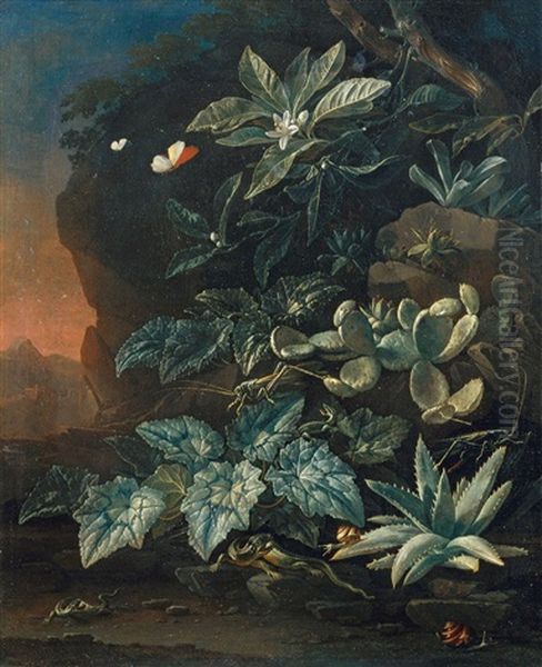 Abendliche Landschaft Mit Grossblattrigen Krautern, Orangenzweig Und Kakteen. Im Vordergrund Drei Eidechsen, Zwei Heuschrecken Und Zwei Schnecken Oil Painting by Elias van den Broeck