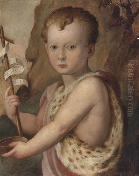 Portrait Of A Young Boy, Traditionally Identified As Ferdinando De Medici, As The Infant Saint John The Baptist Oil Painting by Agnolo Bronzino