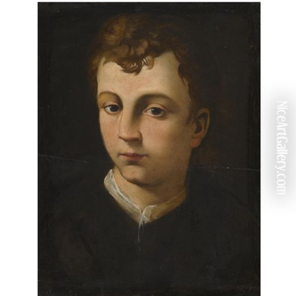 Portrait Of A Boy, Head And Shoulders, Wearing A Black Coat With A White Collar Oil Painting by Agnolo Bronzino