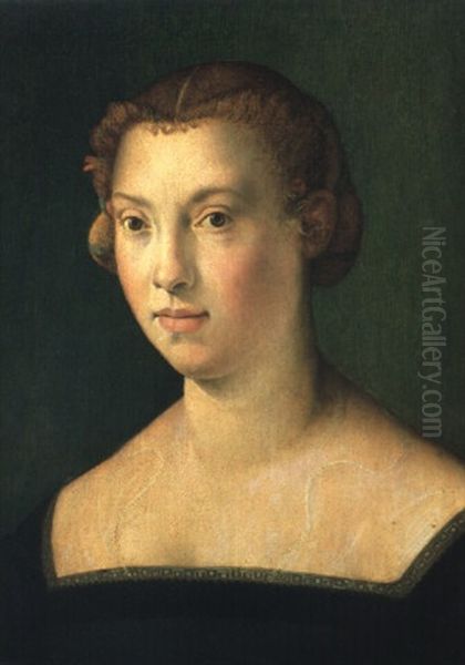 Portrait Of A Lady Oil Painting by Agnolo Bronzino