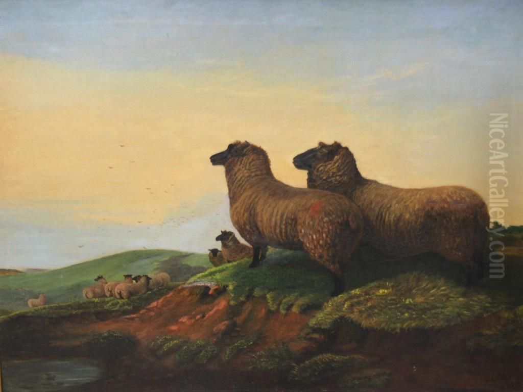 Sheep On A Moor Oil Painting by Charles John Allen