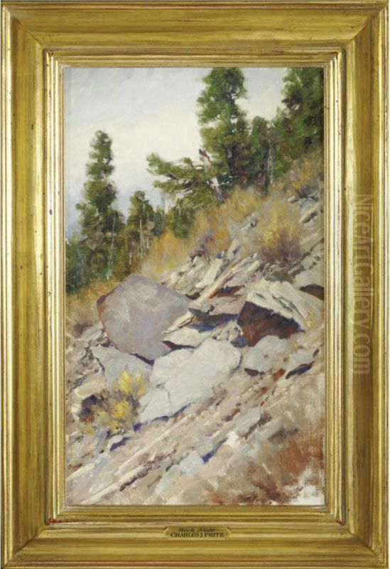 Rock Slide Oil Painting by Charles John Allen