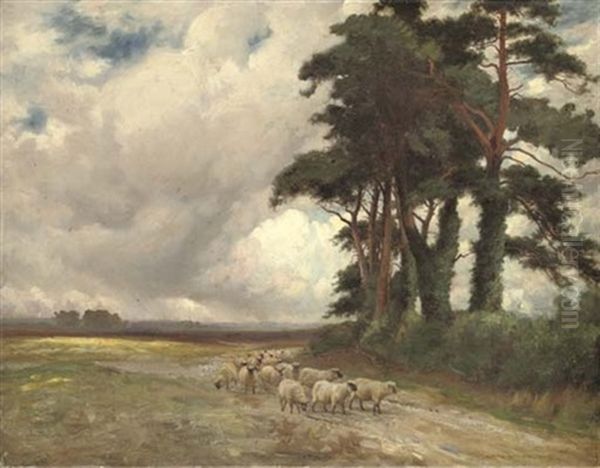 Sheep And Pine Trees Oil Painting by Sir John Alfred Arnesby Brown