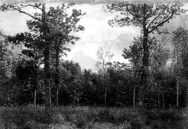 Waldlichtung Im Webicht Bei Weimar Oil Painting by Karl Buchholz