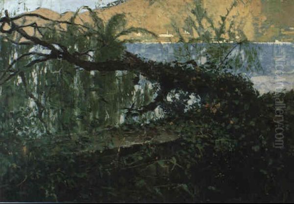 Landschaftsstudie Oil Painting by Frank Buchser