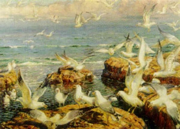 Masar Pa Klippor Oil Painting by Carl Budtz-Moller