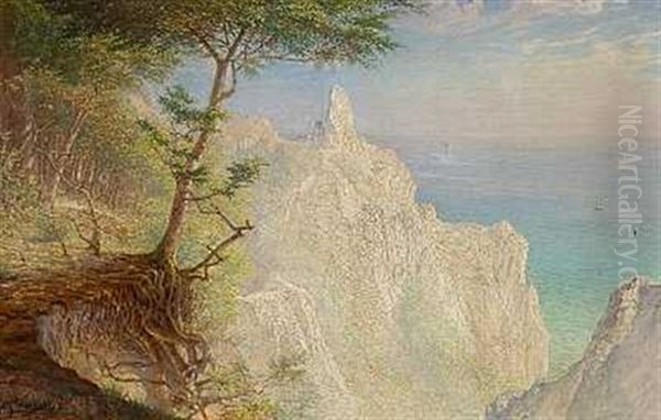 Parti Fra Moens Klint Oil Painting by Peter Johan Valdemar Busch