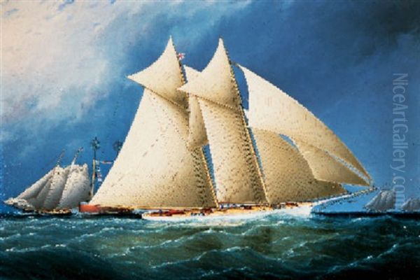 New York Yacht Club Schooner 