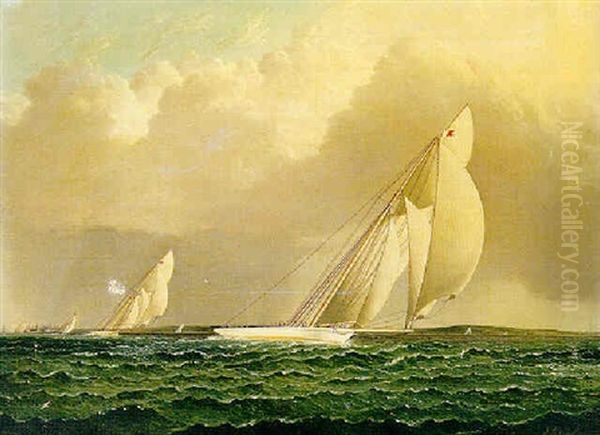 Yacht Race In New York Harbor Oil Painting by James Edward Buttersworth