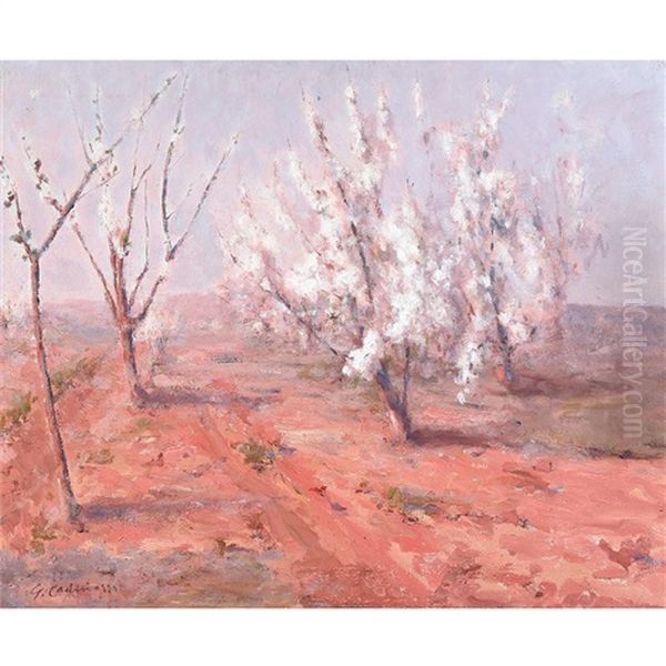 Desert Willows In Pink Landscape Oil Painting by Giuseppe Cadenasso