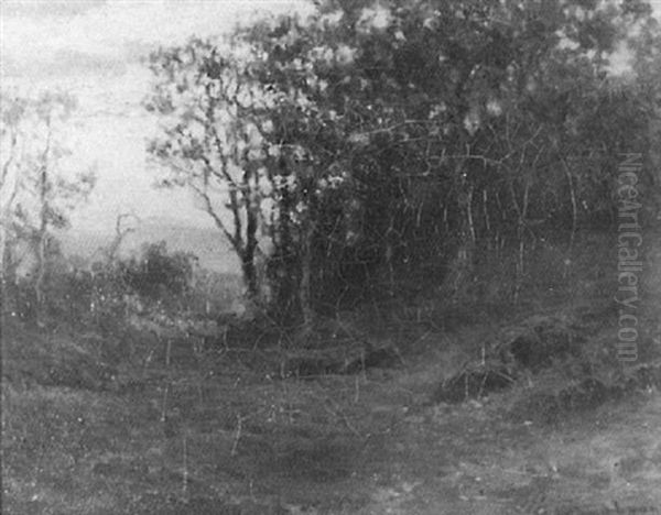 Sunset Scene In Woods Oil Painting by Charles Drew Cahoon