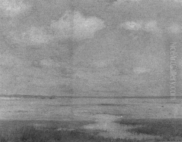 Marsh Scene With Houses Oil Painting by Charles Drew Cahoon