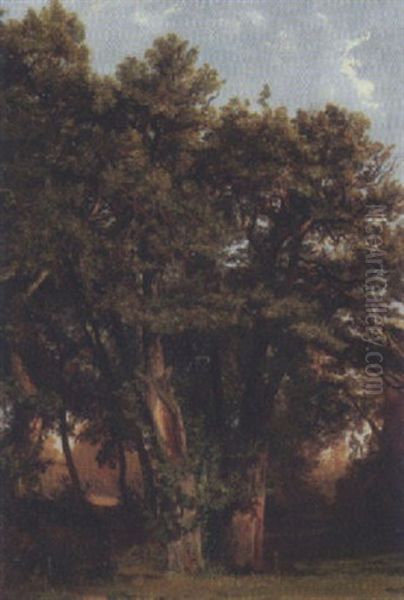 Eichengruppe Oil Painting by Alexandre Calame