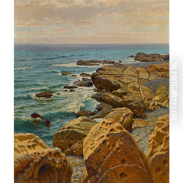 Roches Neptuniennes De Bretagne Oil Painting by Arthur Calame