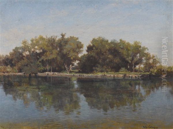 Sonniges Ufer Mit Sich Spiegelnden Baumen Im Wasser Oil Painting by Arthur Calame