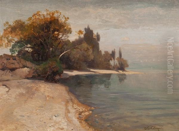 An Den Ufern Des Lac Leman Oil Painting by Arthur Calame