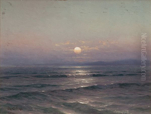 Sonnenuntergang Uber Dem See Oil Painting by Arthur Calame
