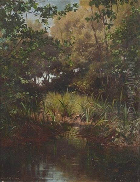 Marecage Oil Painting by Arthur Calame