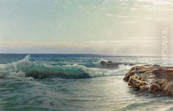 Abendstimmung An Der Kuste Oil Painting by Arthur Calame