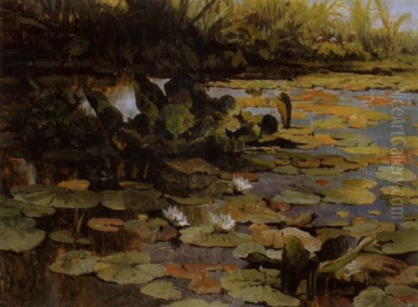 La Mare Aux Nympheas Oil Painting by Arthur Calame