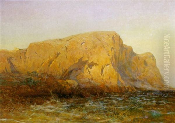 Rochers De Capri Oil Painting by Arthur Calame