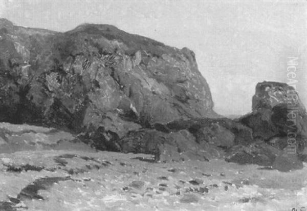 Meeresstrand Mit Felsformation Oil Painting by Arthur Calame