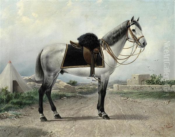 Portrait Of An Officer's Grey Charger, Almost Certainly Of The 10th (duke Of Cambridge's Own) (bengal) Lancers, Malta Oil Painting by Giuseppe Cali