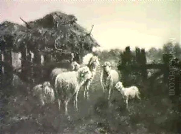 Sheep Outside Barn Oil Painting by John (Giovanni) Califano