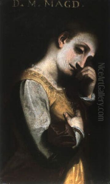 La Maddalena Oil Painting by Luca Cambiaso