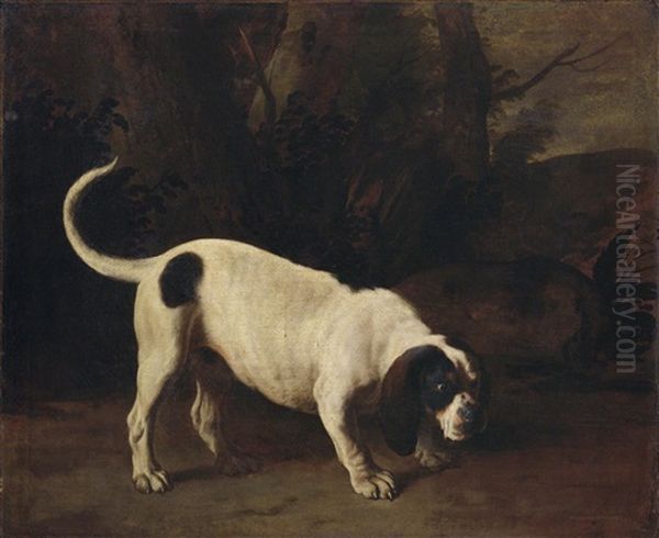 Jagdhund In Einer Landschaft Oil Painting by Michelangelo di Campidoglio