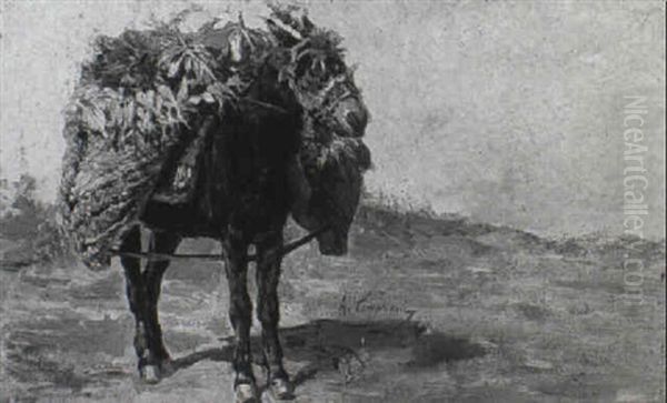 Somarello Con Gerle Oil Painting by Alceste Campriani