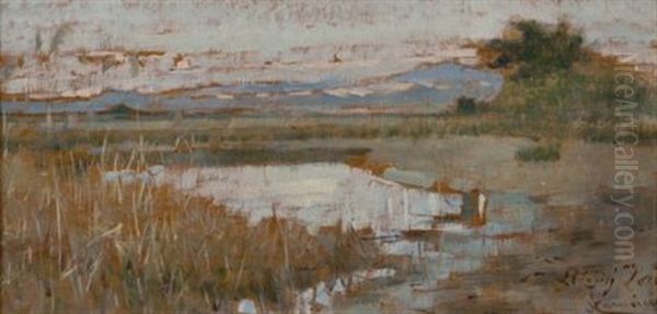 Paesaggio Della Maremma Oil Painting by Niccolo Cannicci