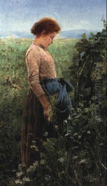 A Young Girl In A Sunny Meadow Oil Painting by Niccolo Cannicci