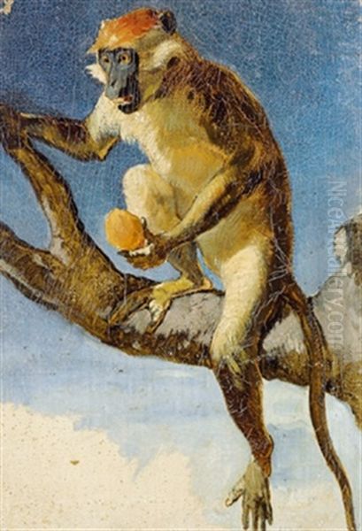 Ein Affe, Naturstudie Oil Painting by Hans (Johann von Strasiripka) Canon