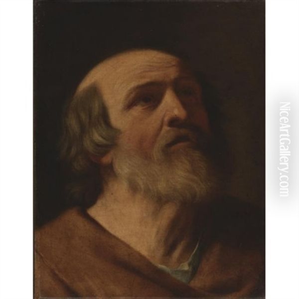 Head Of A Man Oil Painting by Simone Cantarini (Pesarese)