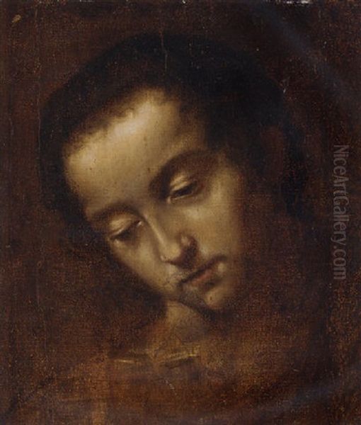 Study Of The Head Of A Saint Oil Painting by Lodovico Cardi Cigoli