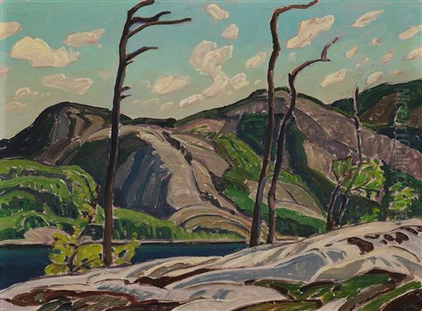 La Cloche, Cranberry Lake Oil Painting by Franklin Carmichael