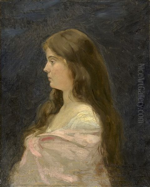 Portrait Eines Madchen Im Weisen Kleid Mit Rosa Umhang Oil Painting by Charles Emile Auguste Carolus-Duran