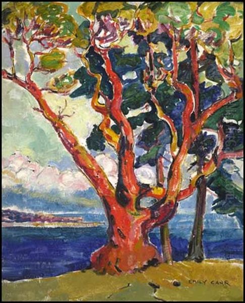 Arbutus Tree (+ Portrait, Verso) Oil Painting by Emily M. Carr